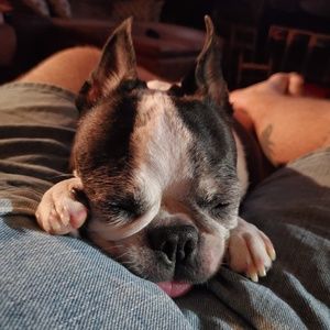 Meet your Posher, Dane